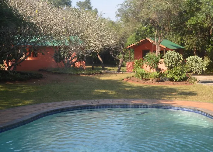 Bushbaby Lodge & Camping