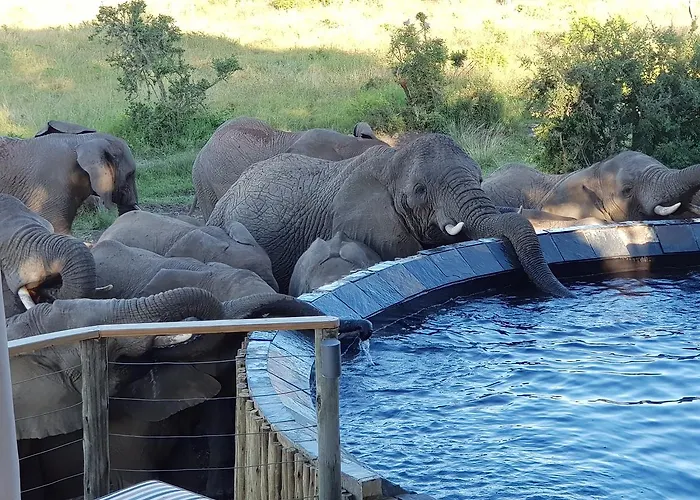 Nambiti Plains Lodge
