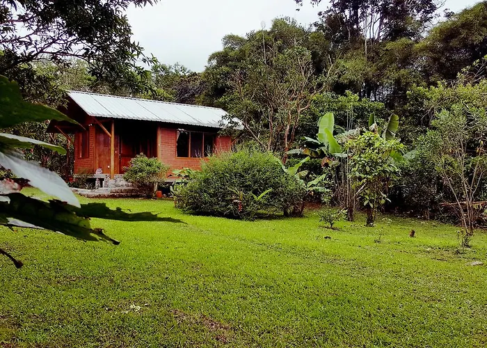 Bird Lover'S House