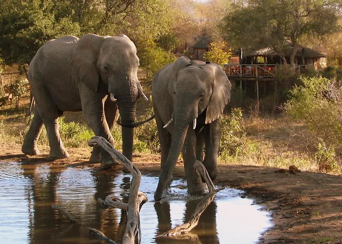 Umlani Bushcamp