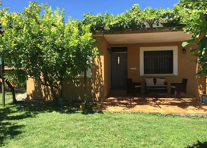 Las Olivas Candeleda