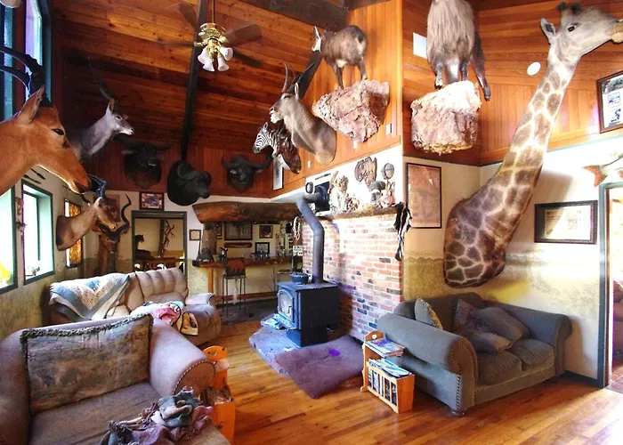 Whitebird Summit Lodge