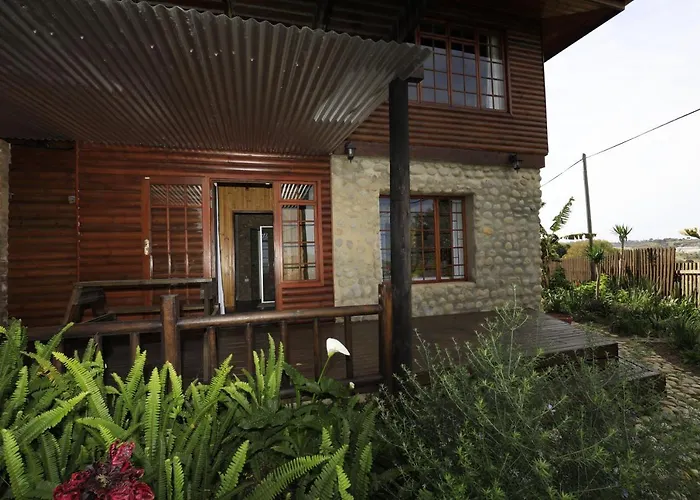 Big Tree House Lodge