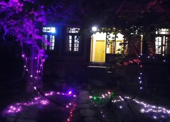 Grapes Garden
