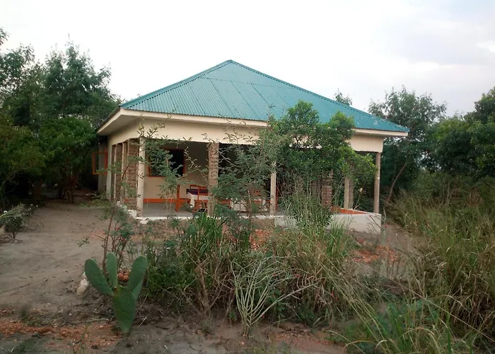 The Elephant Home