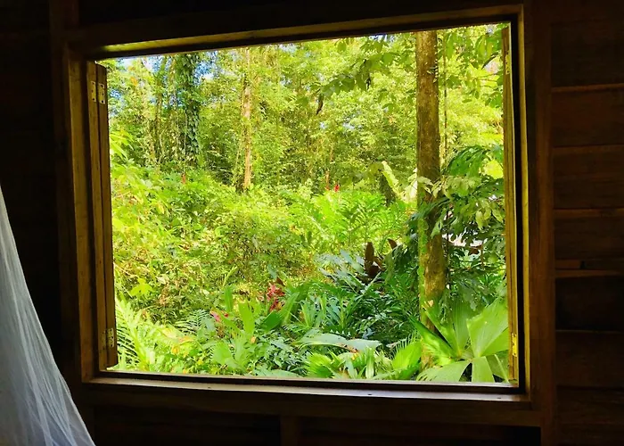 Tranquila - Jungle Cabin For Nature Retreat