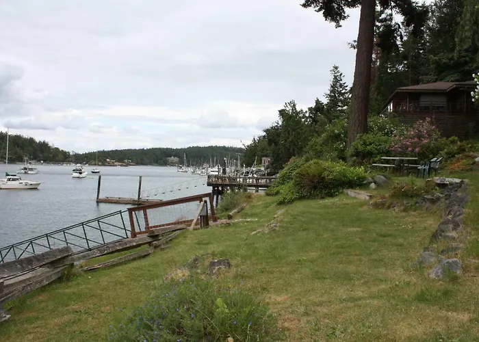 Friday Harbor Lights