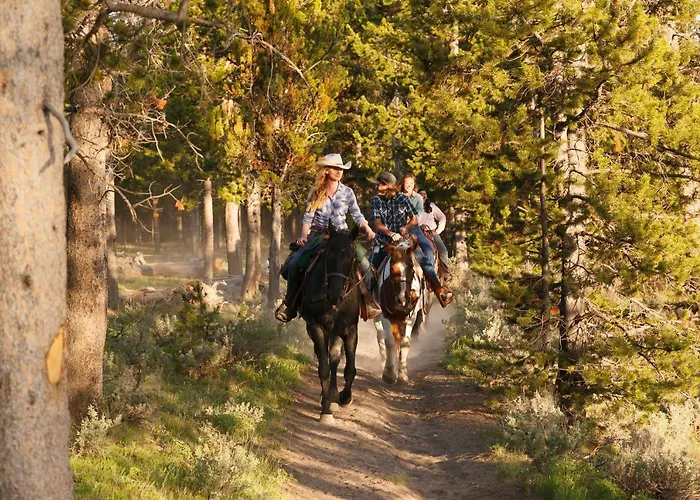 Headwaters Lodge & Cabins At Flagg Ranch