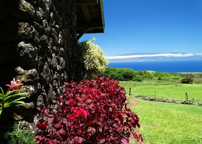 Kohala Lodge- Vacation Rental House