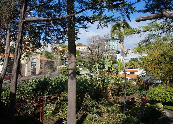 Casa Violeta Vila Funchal 