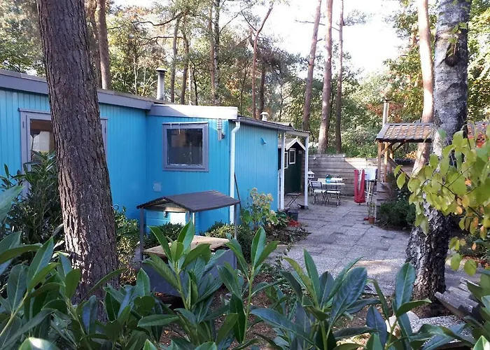 Boshuis Turquoise / smaakvol genieten op de Veluwe Hoenderloo