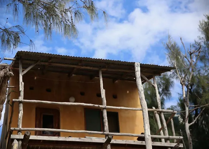 Tree House Cottage, Ocean View