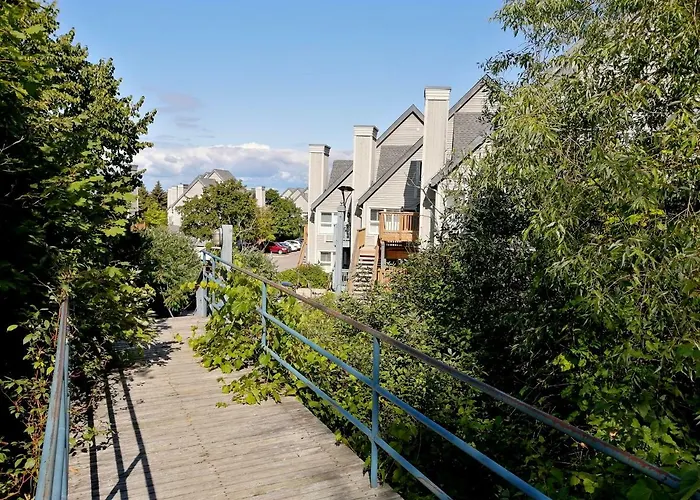 Slopeside Blue Mountain Condo - Wifi, Linens/Towels, Ski In/Out