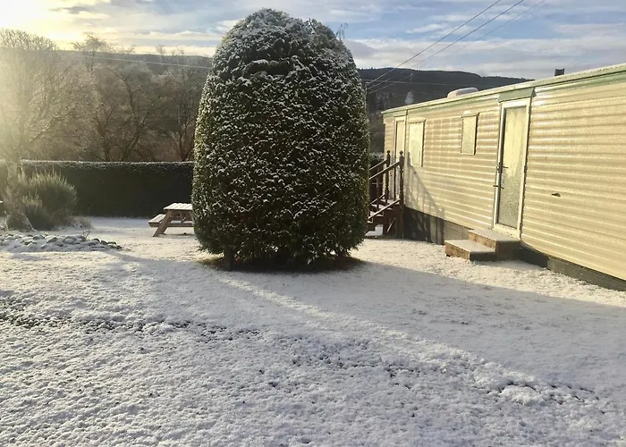 Forest View Cabin - Adults Only - Maximum 2 Guests