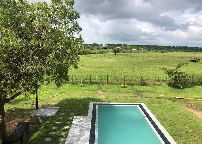 Tree Tops Yala