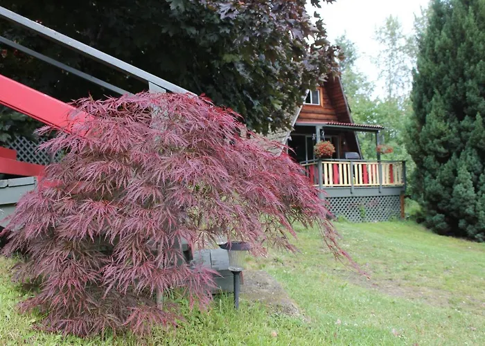 Sunny Bluffs Chalets