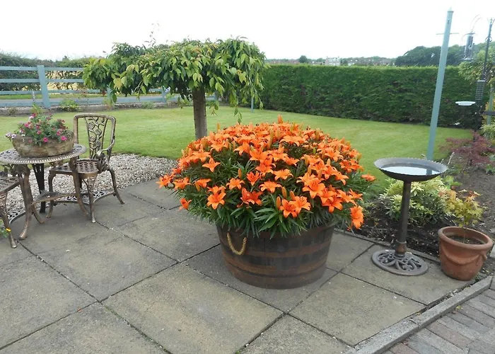 Auchenlea Lodges